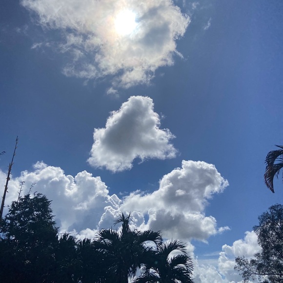 Meet your Posher, Cynthia - Picture 6 of 15